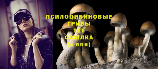 apvp Балахна