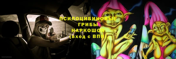 apvp Балахна